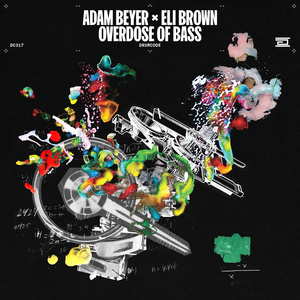 胖熊同性恋性生活视频
